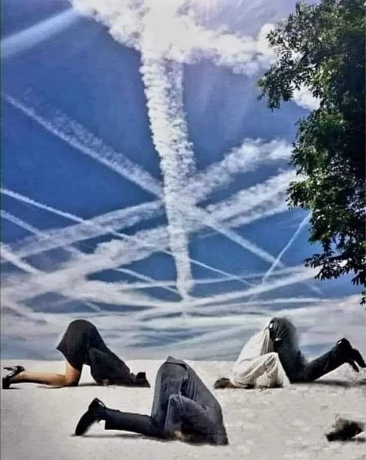 itsmeback_'s tweet photo. Ecco un'egregia rappresentazione di sieropitechi, schiavi dei media ("eh ma lo ha detto la TV" "Sei medico tu"?), troll lobotomizzati.

Gente che ha paura della verità.

👇👇👇 https://t.co/QFKyvumjAS