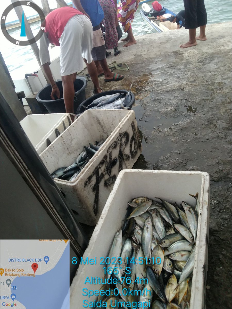 SaidaUmagapi's tweet photo. Seninntgl08/05/ 2023 Saida Umagapi Luhkan Sula Bp3ambon Melaporkan hasil tangkapan KUB Tuna Sejahtera 
Ikan Beby Tuna/Cakalang dan Malalugis 250 kg dengan harga jual
25,000,000/kg 
#GiatLuhkanSulaBp3Ambon
#LuhlaporKP
#SatminkalBp3Ambon https://t.co/e37sLBM9w6