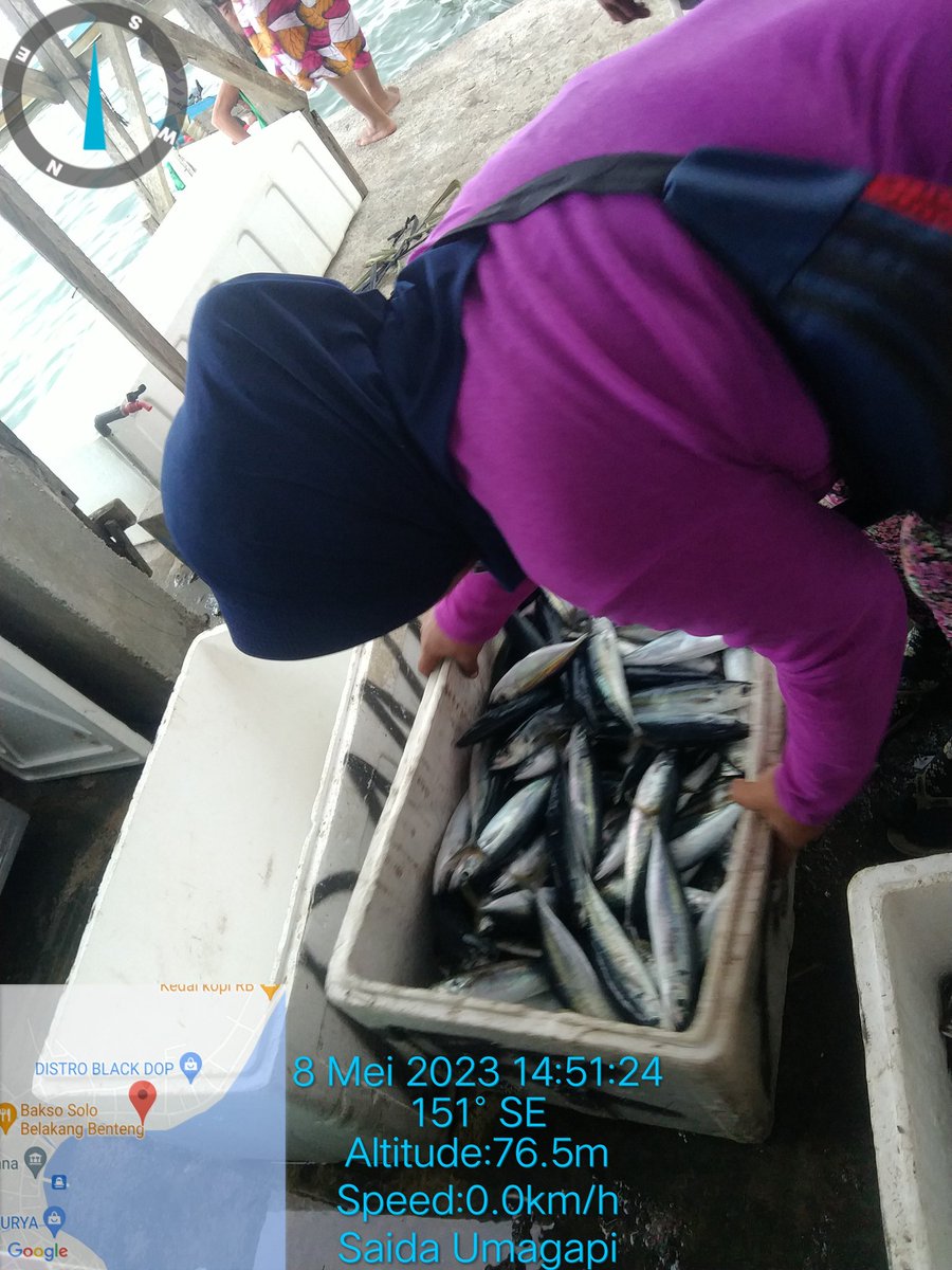SaidaUmagapi's tweet photo. Seninntgl08/05/ 2023 Saida Umagapi Luhkan Sula Bp3ambon Melaporkan hasil tangkapan KUB Tuna Sejahtera 
Ikan Beby Tuna/Cakalang dan Malalugis 250 kg dengan harga jual
25,000,000/kg 
#GiatLuhkanSulaBp3Ambon
#LuhlaporKP
#SatminkalBp3Ambon https://t.co/e37sLBM9w6