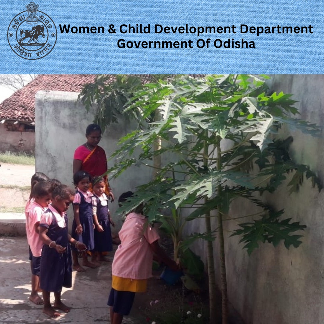 WCDOdisha's tweet photo. Nature has endless lessons to teach, and these children in Kalahandi district are eager learners!🌿🌱#PlantLearning #KalahandiKids #NatureIsTeacher @MinistryWCD @DmKalahandi @HealthKalahandi @UNICEFIndia @UNFPAIndia @OSCPSODISHA @Shubha_Sarma @SMEOdisha @DHE_Odisha  @ForestDeptt https://t.co/pJzW7enLn8