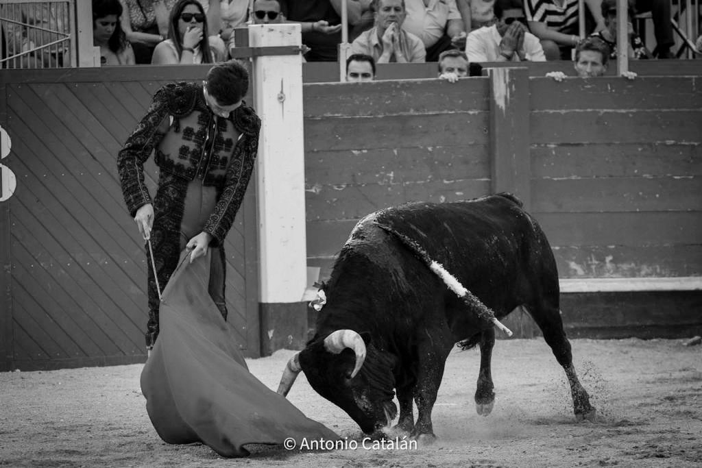 Diego Bastos Aliaga tweet media