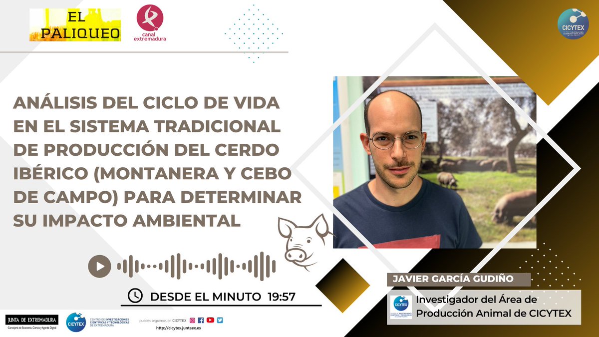 CICYTEX's tweet photo. 🙋‍♂️Quieres conocer el #ImpactoAmbiental 🌍de la ganadería extensiva (cerdo ibérico de montanera y cebo de campo)⁉️
✅Parámetros como gases de efecto invernadero🏭 o tierra ocupada🏞️
📻Pues escucha a nuestro investigador👨‍🔬 Javier Gudiño en esta entrevista https://t.co/xR1Q0sLJYj https://t.co/VbTRk0Zgtk