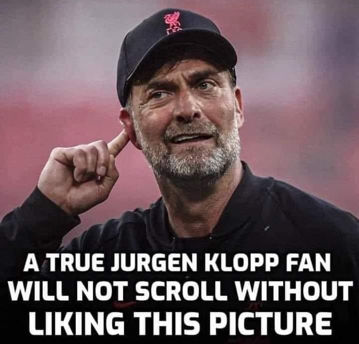 David McGrady tweet media