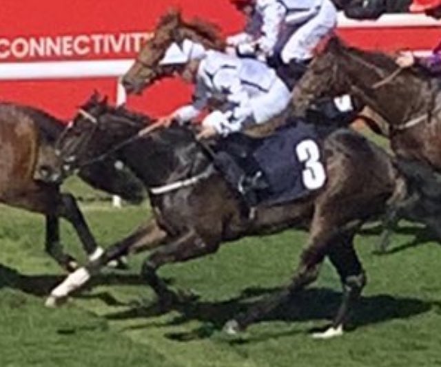 Indication Call runs in the 5f Ayrshire Cancer Support Maiden Stakes <a href="/ayrracecourse/">Ayr Racecourse</a>. After a couple of 2nds, hopefully Pierre can  use the race experience and get his nose in front in this 4 horse race. Good luck all. 
<a href="/karl_burke/">Karl Burke</a> <a href="/pljamin25/">Pierre-louis jamin</a> <a href="/NickBradley_1/">Nick Bradley</a> <a href="/geoffmoore1969/">geoffrey moore</a>