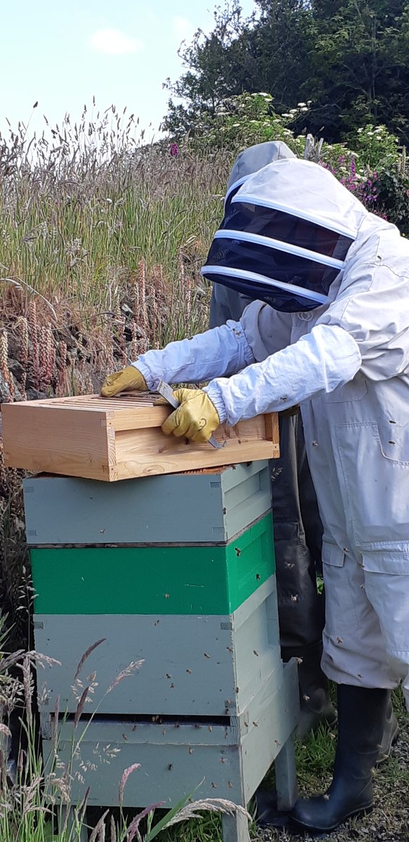 Did you know we have our own bee hives here on CHAOS Farm? #KeepItChaos #Bees