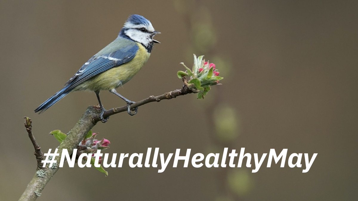 One of the great things about walking and cycling is that you can really immerse yourself in nature and spot wildlife. Sign up for one or all FREE three wildlife webinars to up your spotting game! soc.devon.cc/3RDV6