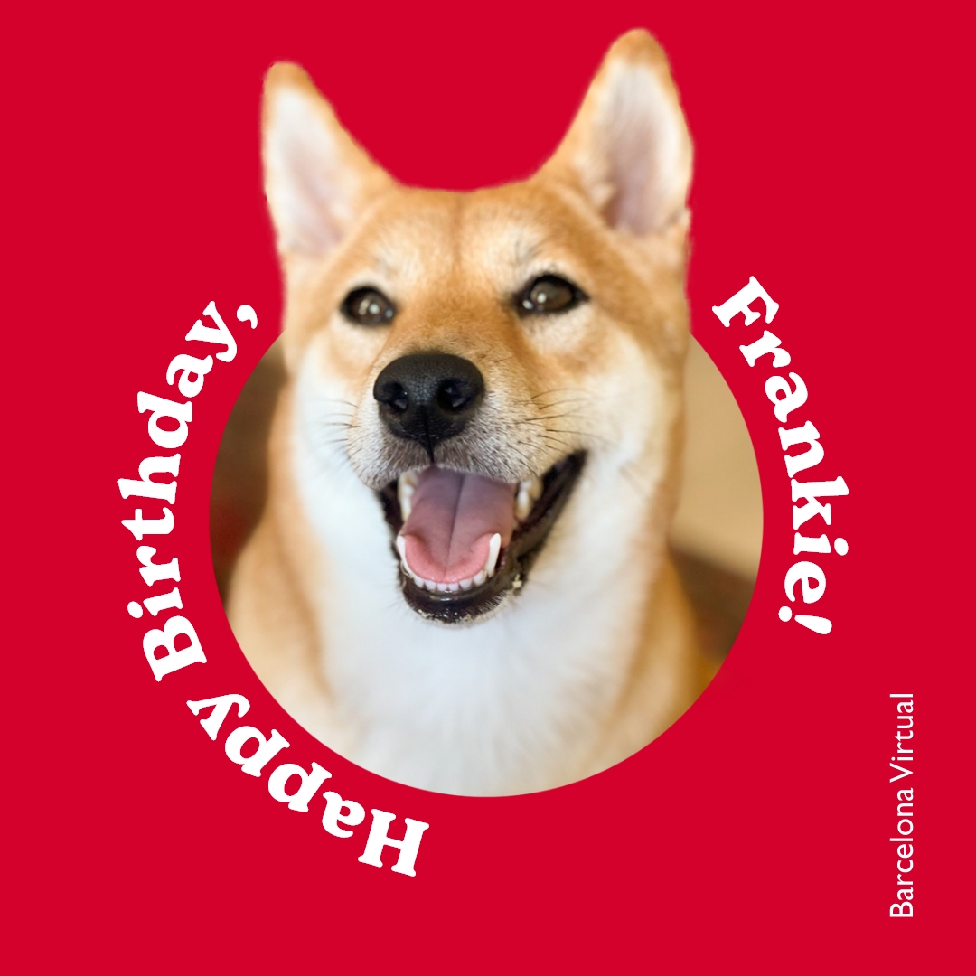 BVirtualTweets's tweet photo. #Birthday! 🎉❤️🎂
On a May day – only 2 short years ago – a furry little angel fell to Earth &amp; entered our lives.  Frankie, our favourite Shiba Inu, had arrived!

Soon after, she began her internship with us,
&amp; she's been advancing ever since.

So, Happy Birthday, peque! 🐾🐾🐾 https://t.co/QM0scxOwcI