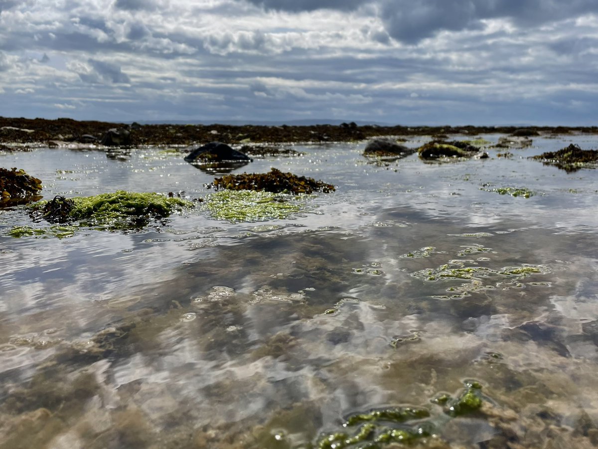 Rockpooling on Rathlin Island 
#Ireland #Rathlin #NorthernIreland