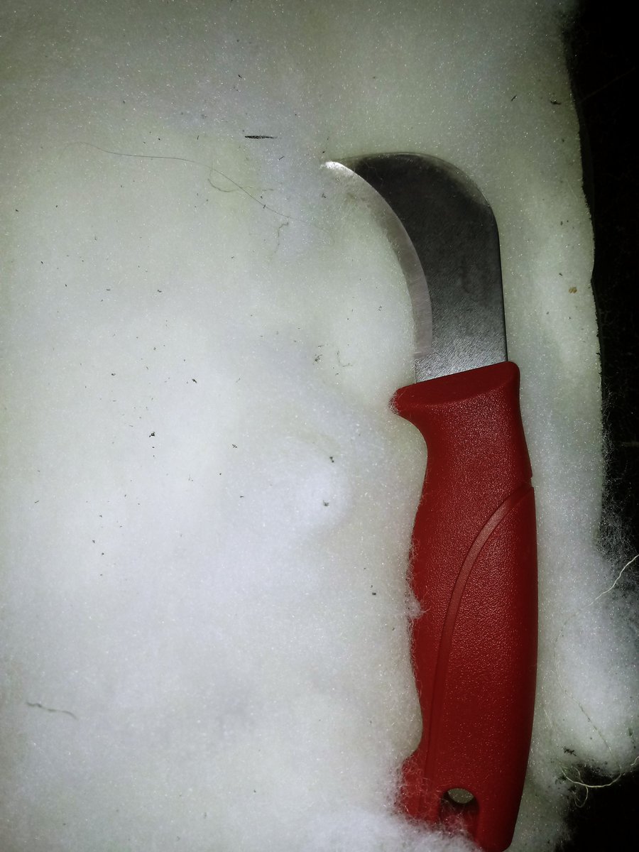 Mercedes_Bouter's tweet image. Lijkt wel een mes voor reddingswerkers. Ik kan stugge stiksels zelfs overdwars uitsnijden. 

Ik ben een gereedschapsliefhebber, omdat goed gereedschap echt een wereld van verschil maakt. Van pannen tot penselen en santoku tot hawkbill.