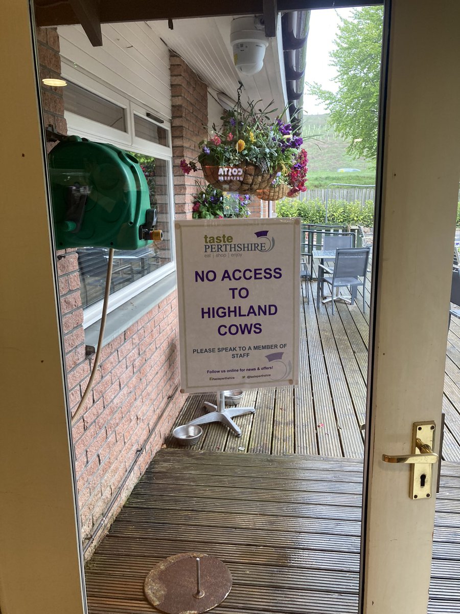 Only in #Scotland 😂