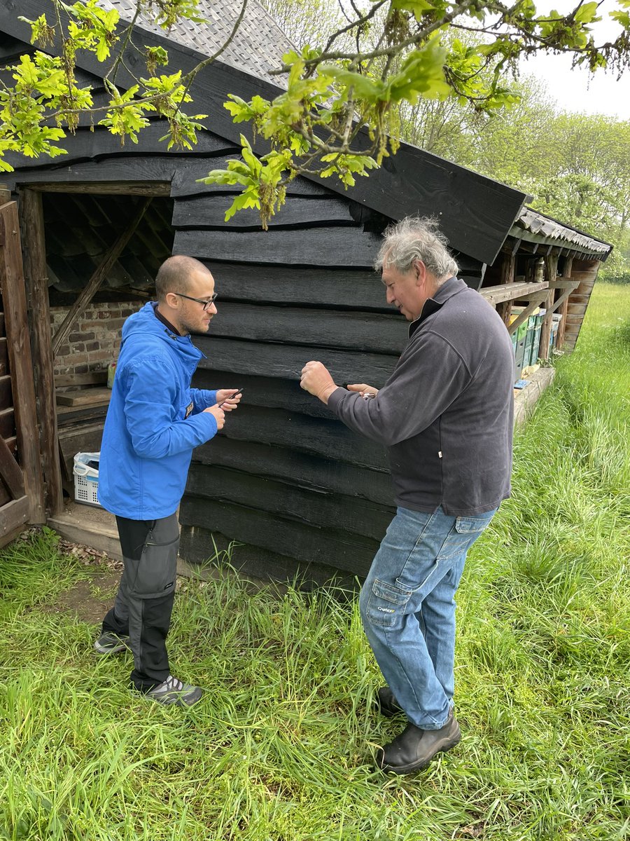 Onderzoek naar aanwezigheid van #microplastic in en op bijen. 
Onderzoek van de bijen van oa #Tongelaar vindt plaats op universiteit van #Piacenza in Italië. @Brab_Landschap <a href="/WUR/">Wageningen U&R</a>