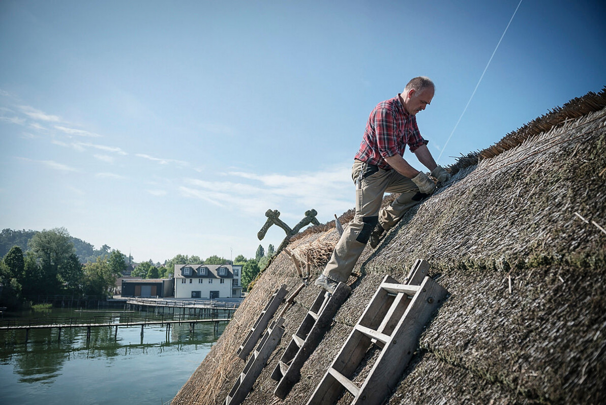 Lust auf ein #FSJ in den #Pfahlbauten am #Bodensee? Dann informiert euch doch gleich unter:
freiwilligesjahr-bw.ijgd.de
wenn euch der Sinn nach #Denkmalpflege steht, 
oder:
…freiwilligendienste-kultur-bildung.de/platzsuche
wenn #Kulturvermittlung mehr euer Ding ist.