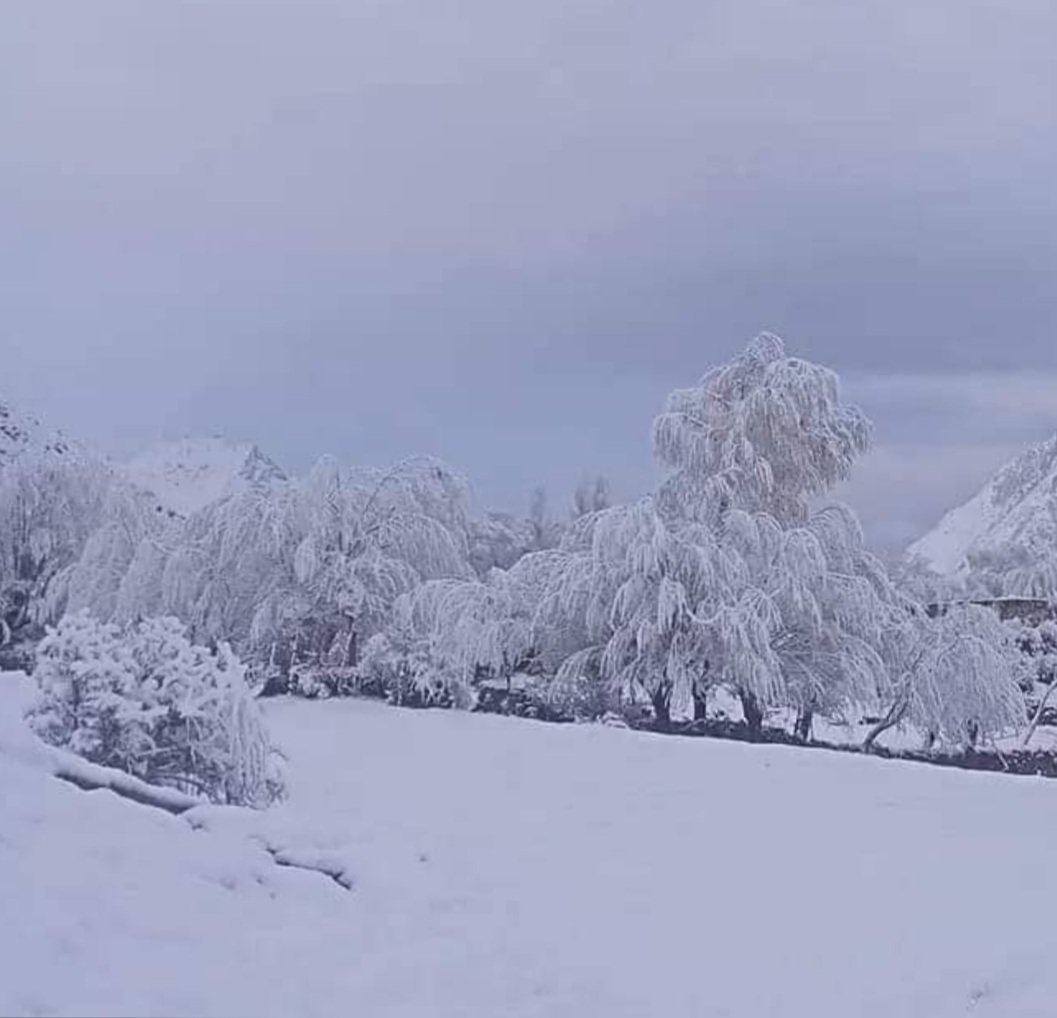 doctor_saq's tweet photo. Heavy Snowfall in May( Tormik Baltistan )💭💭🤍.  Todays pic https://t.co/tPoiW4G7vx