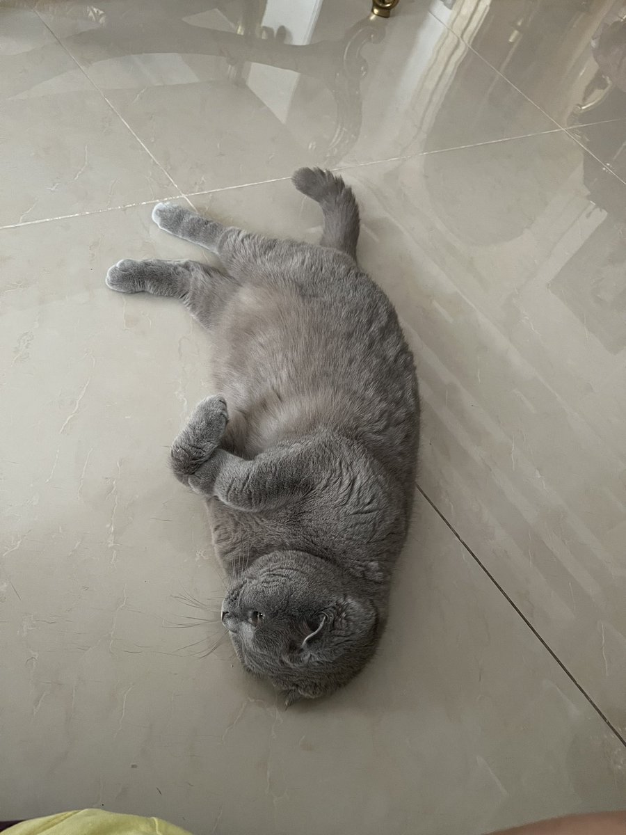 mini_mahta's tweet photo. وقتی خیکی قهره😂 https://t.co/ObA25UMBD7