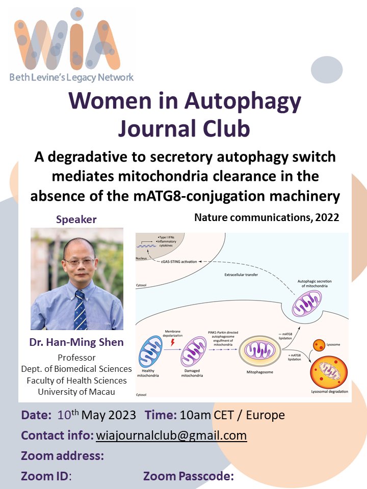 WAutophagy's tweet photo. #JournalClubAlert don't miss our wonderful JC this month! May 10th, at 10 am CET / Europe, Dr. Han-Ming Shen @NUSingapore will present "A degradative to secretory autophagy switch
mediates mitochondria clearance in the absence of the mATG8-conjugation machinery" (Nat Comms, 2022) https://t.co/0GVEBtfZWV