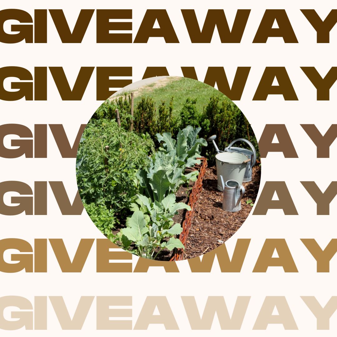PlanterApp's tweet photo. GIVEAWAY ALERT!!

We want to see your gardens! 👨🏻🌾
Share a photo for a chance to win a lifetime subscription* to Planter and a Planter t-shirt (if you are in the US)🤩🪴

Head to our Instagram for more details: https://t.co/ambNWTnwEi
#vegetablegarden #giveaways  #giveaway https://t.co/vELY9o1Ssq