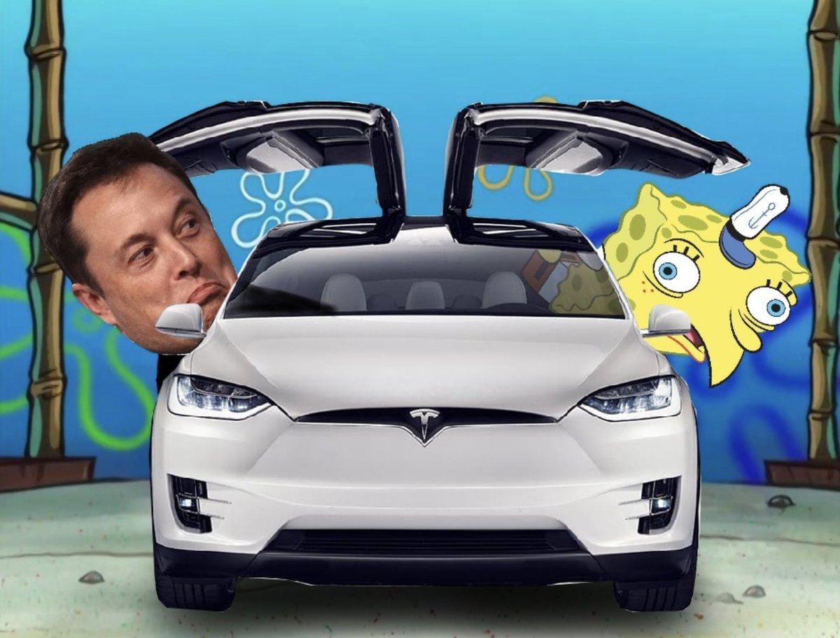 $SPONGE tweet media