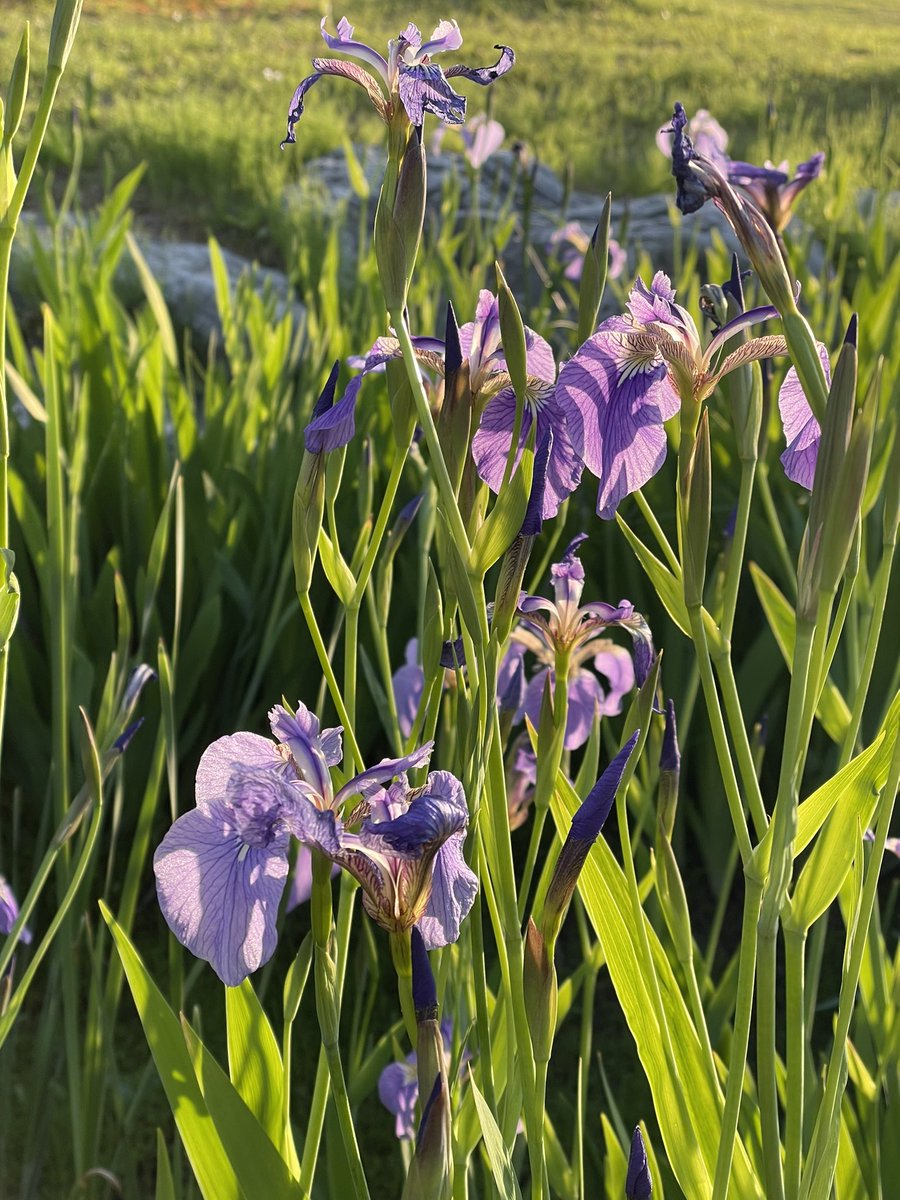 동네 산책하다가💚
이제 여름인가보다!