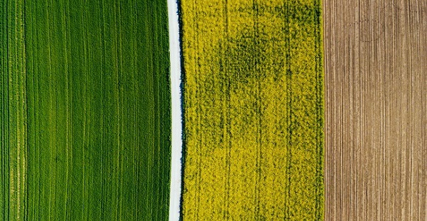 WileyEcology's tweet photo. Call for submissions! 📣 Submit to #PlantBreeding's latest special issue, "Novel phenotyping approaches and their applications for plant breeding".

📆 Deadline to submit: Dec. 31st, 2023
Learn more 👉 https://t.co/OfuIGIhShd https://t.co/HDkFmg3bCy