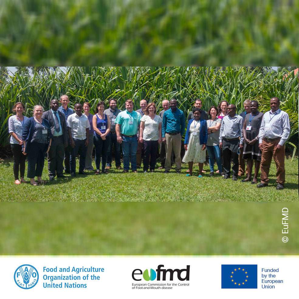 Eufmd's tweet photo. 🤝🐾The partnership between #EuFMD and Texas A&amp;M University continues, and we are grateful for their contribution to pioneering our virtual #RealTimeTraining. 
Can’t wait to catch up with familiar faces as we are about to start this meeting. 
@tamuvetmed @iha_tamu @FAOLivestock https://t.co/kRcQx1Tov9