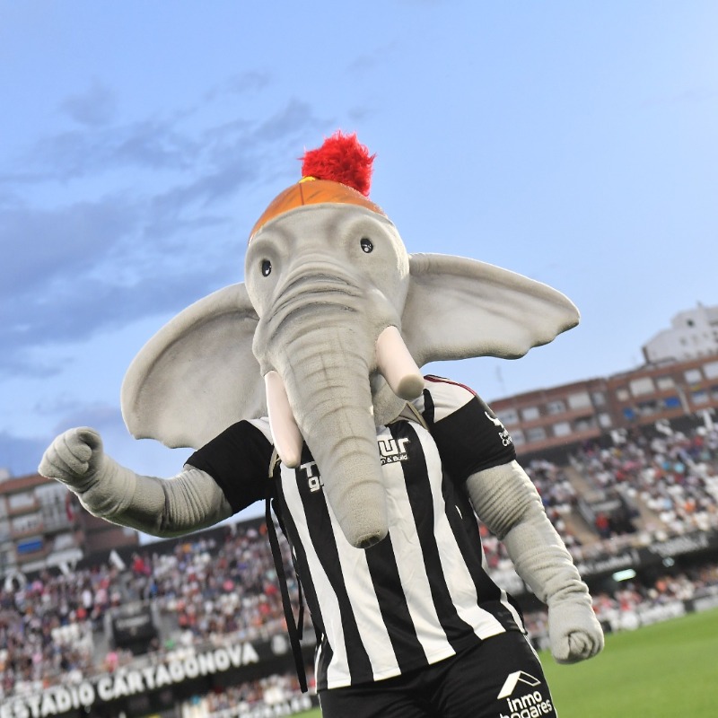 FCCartagena_efs's tweet photo. 🐘 ¡Bienvenido a la familia albinegra, Suru!

🙌🏻  Gracias a Antonio Antolinos y Patrocino Antolinos, creadores de la nueva mascota del Efesé.

🔥 Esperamos que hayáis disfrutado de su debut en el #CartagenaBurgosCF