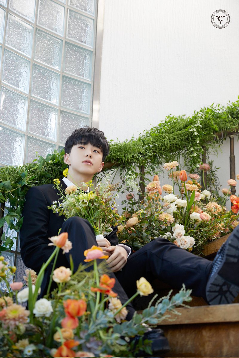 tinysoonseok's tweet photo. #호시  #도겸 'FML' (CARAT Ver.) Behind Photo https://t.co/4FG9G6wBFL