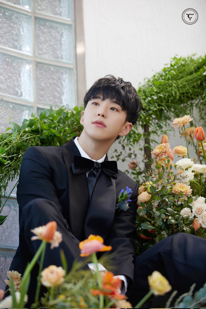 tinysoonseok's tweet photo. #호시  #도겸 'FML' (CARAT Ver.) Behind Photo https://t.co/4FG9G6wBFL