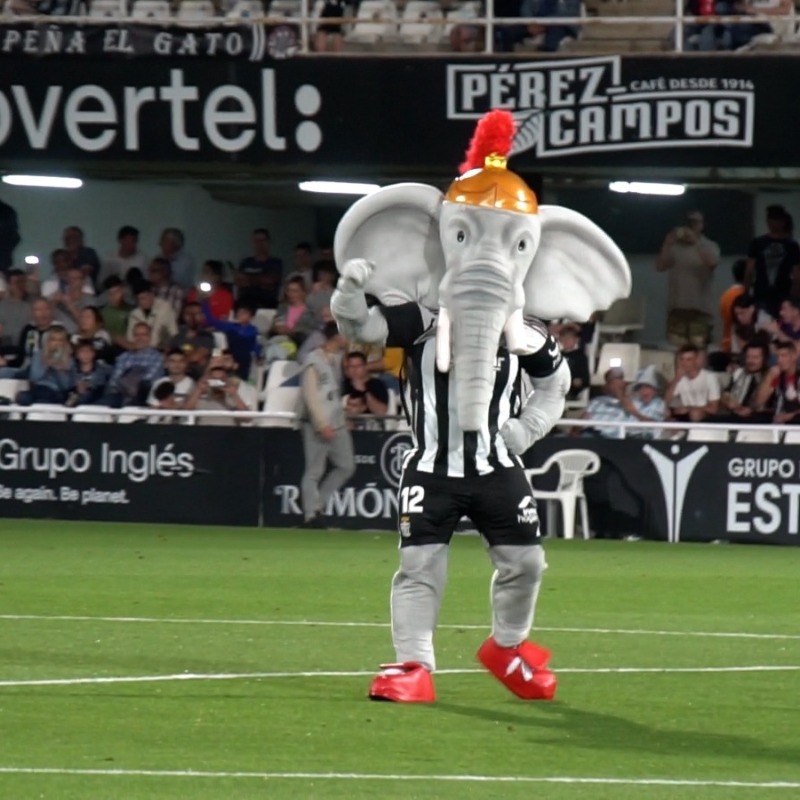 FCCartagena_efs's tweet photo. 🐘 ¡Bienvenido a la familia albinegra, Suru!

🙌🏻  Gracias a Antonio Antolinos y Patrocino Antolinos, creadores de la nueva mascota del Efesé.

🔥 Esperamos que hayáis disfrutado de su debut en el #CartagenaBurgosCF