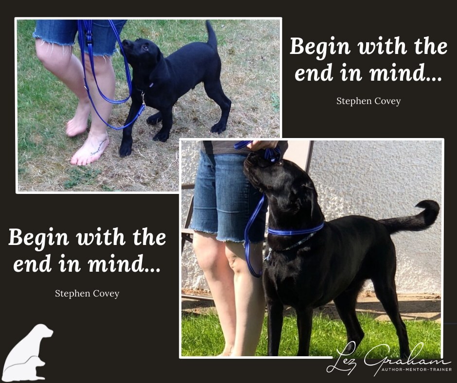LezGraham's tweet photo. Regardless of what you plan to do with your dog, have a clear picture in your mind as to what you want to achieve...⁠
⁠
That way not only will you stay focussed in your training, but you'll feel great when you get there 🐾⁠
⁠
⁠
⁠
#thepetgundog⁠
#t… https://t.co/zqIeV5jx29 https://t.co/RB4mmlV9Hf