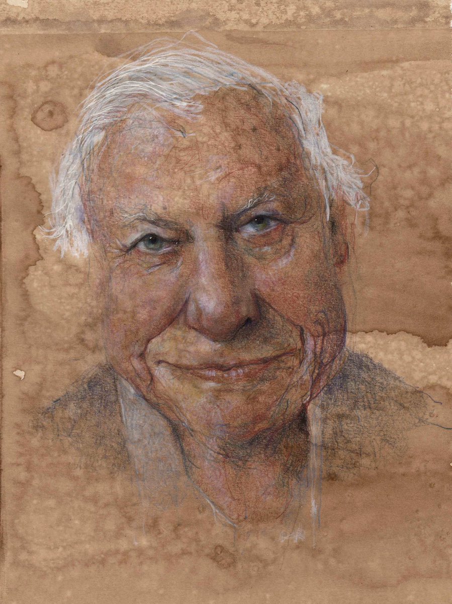 Happy Birthday to the wonderful Sir David Attenborough. #SirDavidAttenborough #DavidAttenborough @SGFADrawing @procartoonists @iscacaricatures @The_Big_Draw @Drawinglives