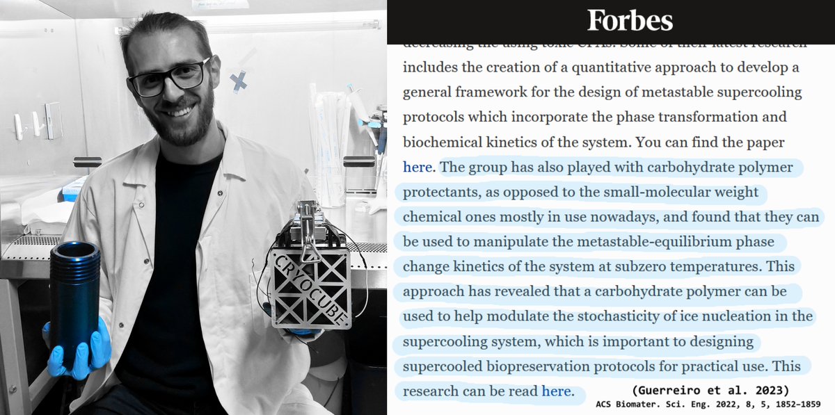 cryobiochem's tweet photo. Pleased to inform my paper on cryopreservation in collab with @UCBerkeley is in @Forbes!  I personally enjoyed designing this experiment, it yielded great insights into how polymers can solve the freezing injury problem in tissues and organs. Full article: https://t.co/tK7XAmkJJK https://t.co/XkBdTsJUC9