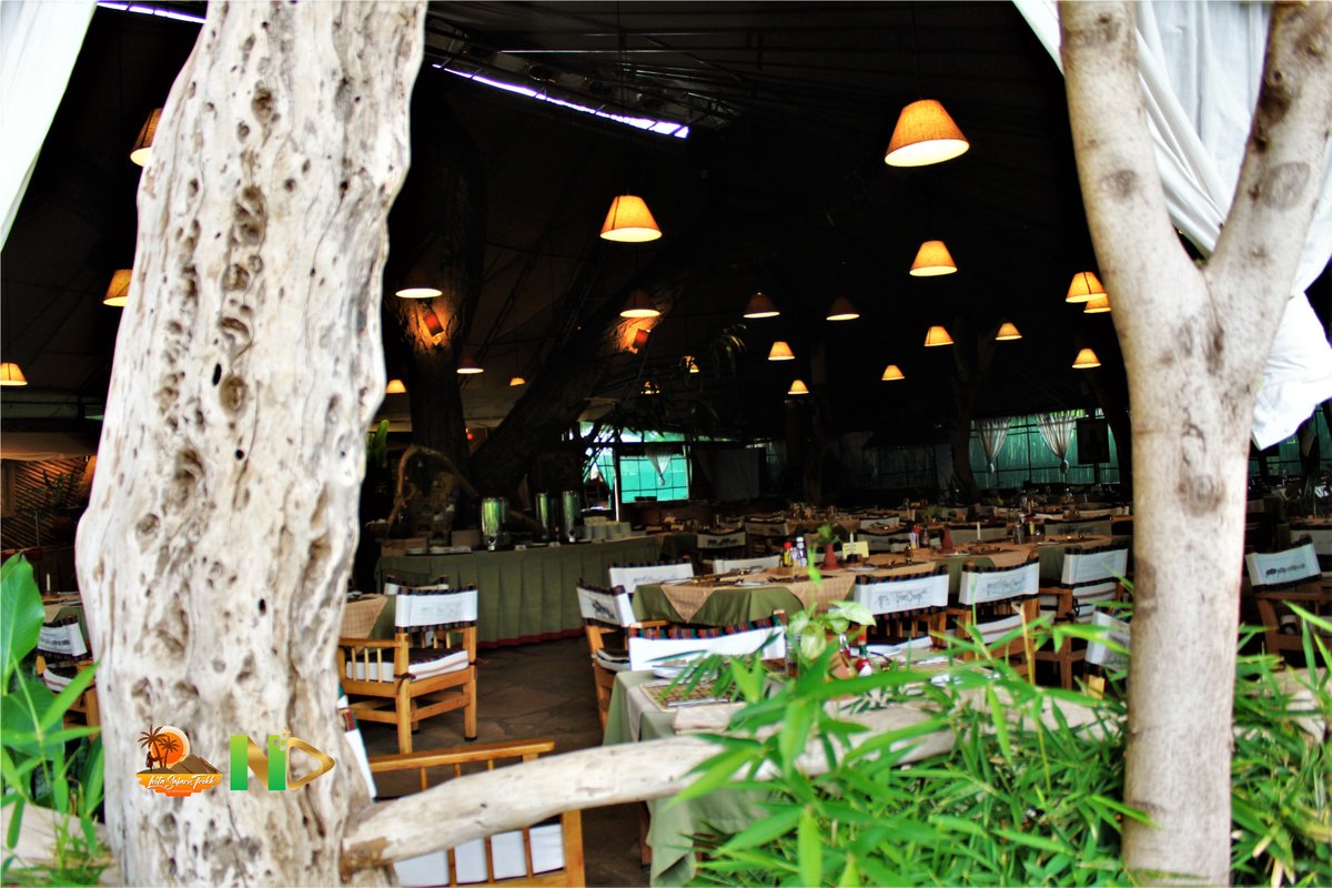 At Amboseli famously known as the home of jumbos. Has an expansive property welcoming and cordial, we talking about <a href="/kibosafaricamp/">Kibo Safari Camp</a> 

Talk to us @loitasafaristrekk for booking and an experience of amazing game drives. 

#gamedrives  #luxuryresorts #lodge #hotel #accommodation