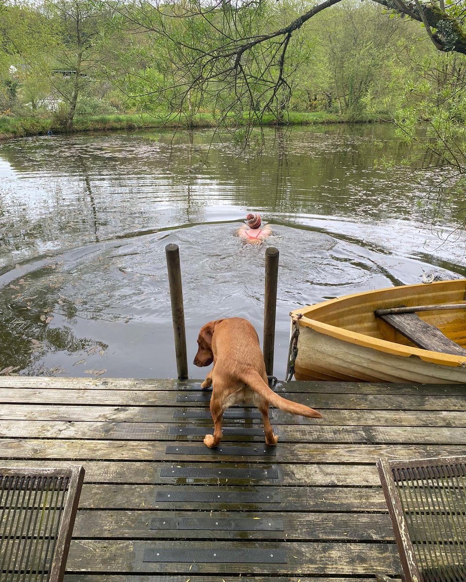 joolsdares's tweet image. Meanwhile, a break in the rain #DORSET