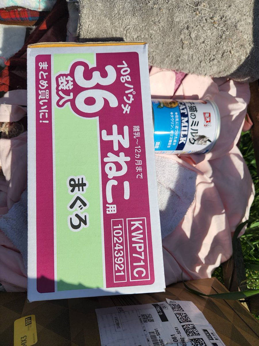 mohikan_oukoku's tweet photo. 【ご支援報告】

受け取りボラさんよりご支援到着の知らせです
欲しいものリスト.先日の譲渡会への持ち込み.里親様などから今必要な品が届きました🐈

送り主様のお気持ちは、命をつなぐための活動に使わせて頂きます。
心より感謝致します。
ありがとうございました！ https://t.co/NQcJKn5XzH