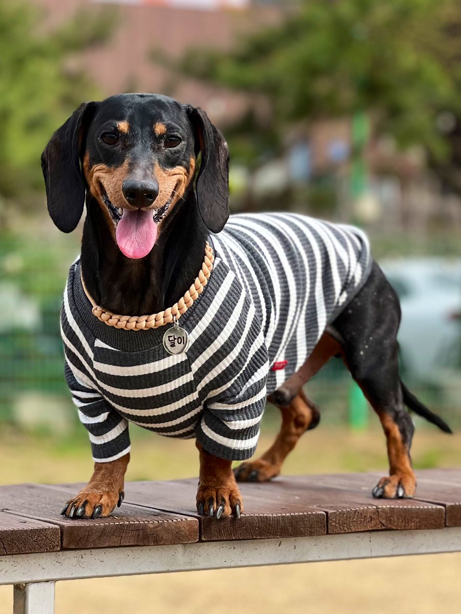 하상욱 tweet media