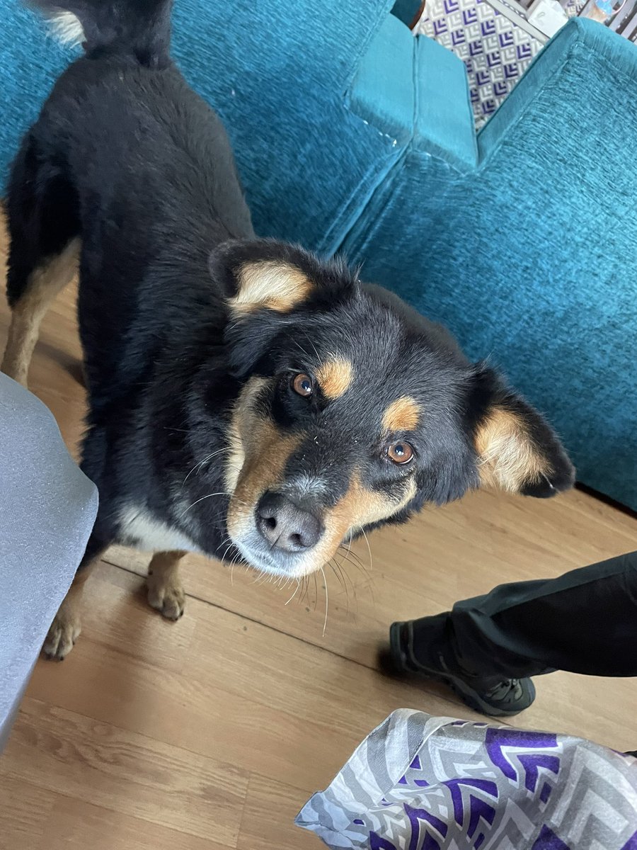 Brynnen_R's tweet image. #EverestBaseCamp #Lukla #RefugeesWelcome justgiving.com/page/brynnen-r…