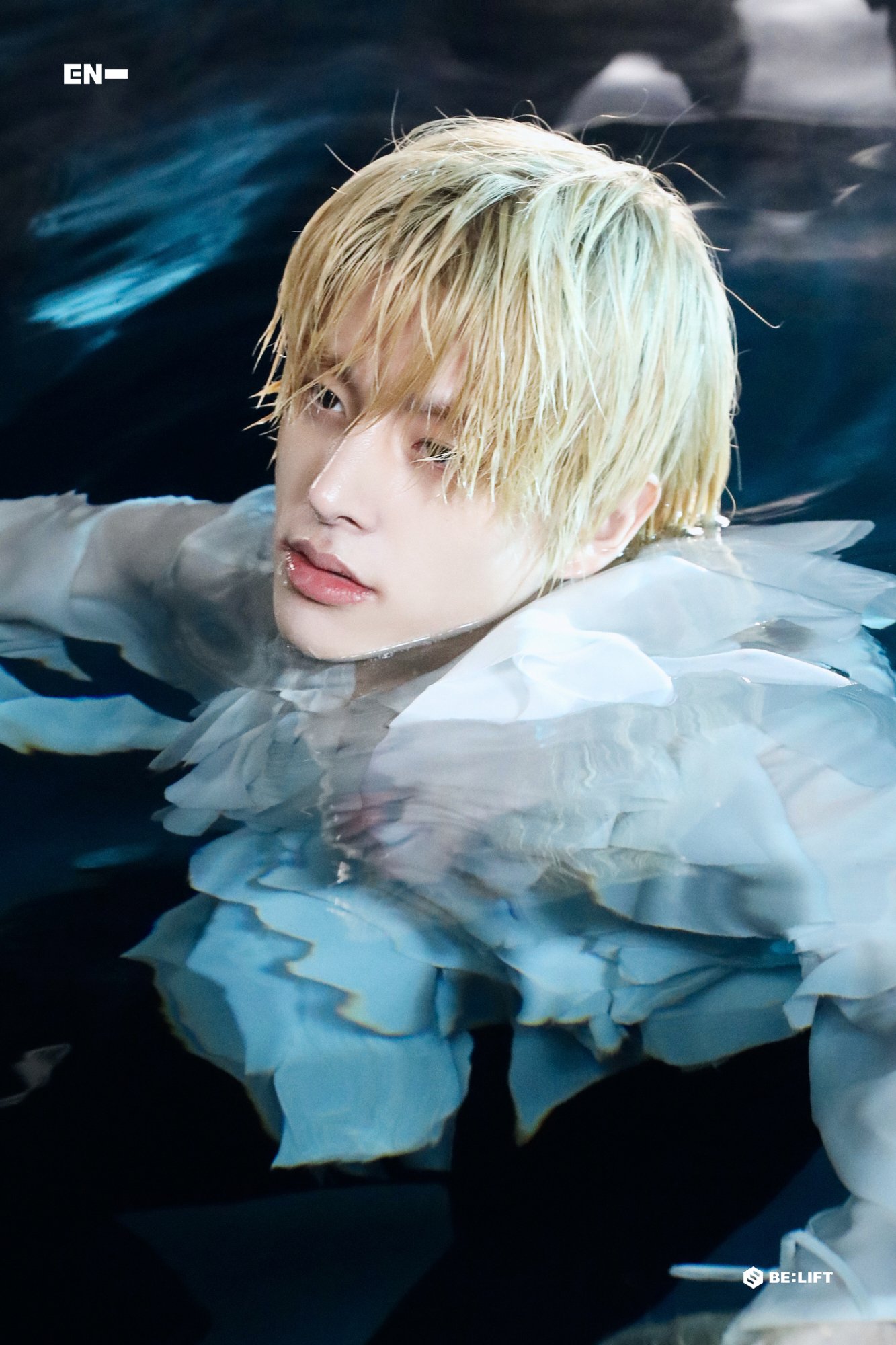 ENHYPEN DARK BLOOD naver ジェイク トレカ