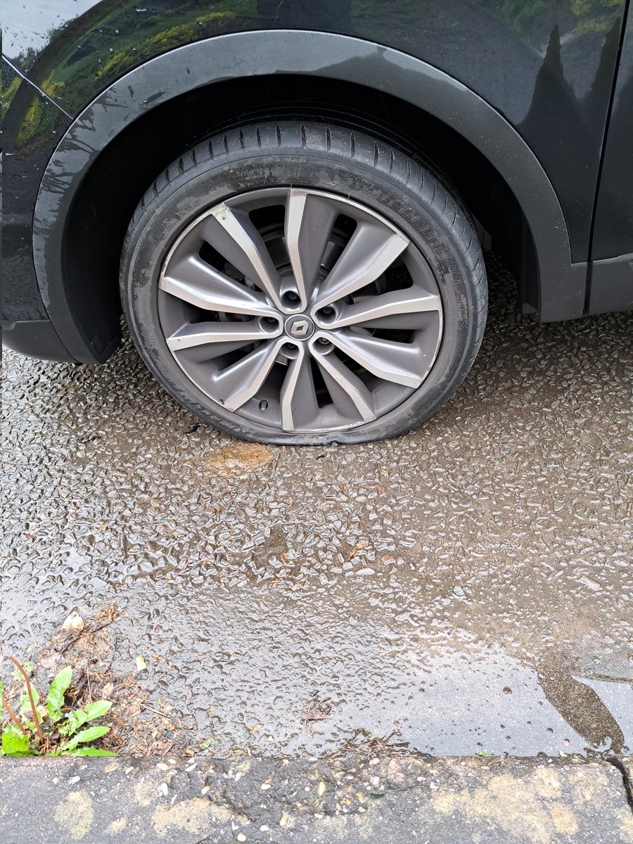 Gemma Iwanski tweet media