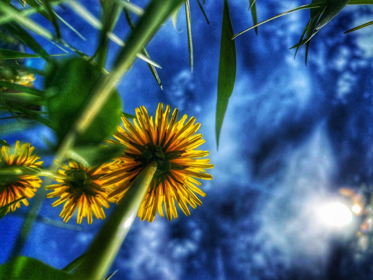 📸VineyardWarrior📸 tweet media