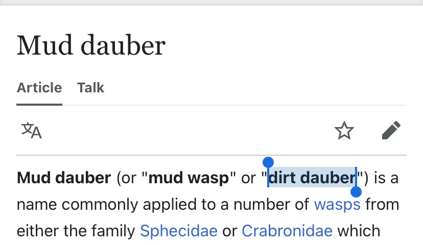 Surprising non-standard spelling in the New Yorker — is “daub” traditionally in the THOUGHT class? Evidence of cot/caught merger on the part of the author (and copy editor)?