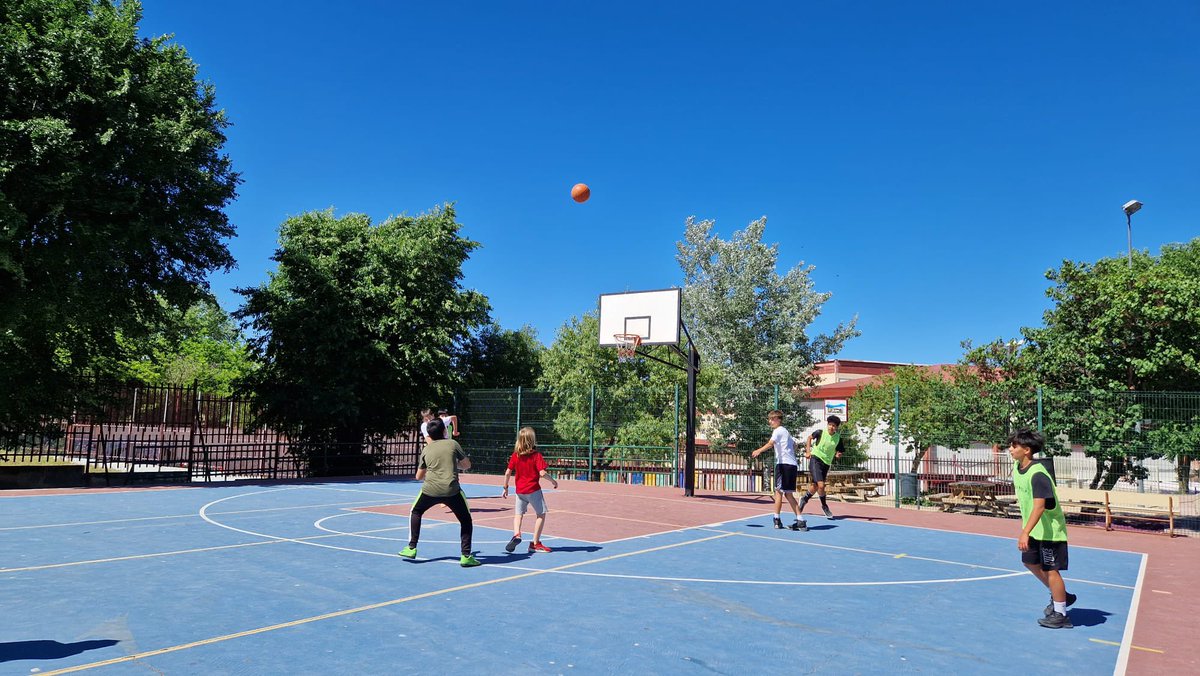 ijoaquinrodrigo's tweet photo. ¡Abrimos semana con el #TorneoPrimavera de las #EscuelasDeportivas! ¡La semana pasada disfrutamos de una jornada deportiva y de convivencia que continúa hoy con tenis de mesa y voleibol #IPAFD #AprenderAVivir #joaquinrodriguismo https://t.co/3ihZEXOKTF