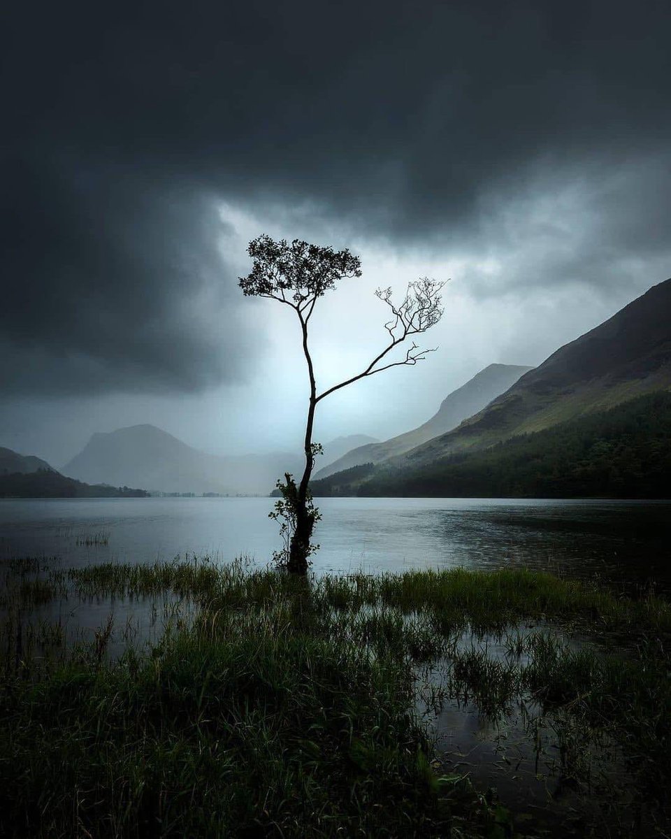 "Solitude is not chosen, any more than destiny is chosen. Solitude comes to us if we have within us the magic stone that attracts destiny."

~ Hermann Hesse