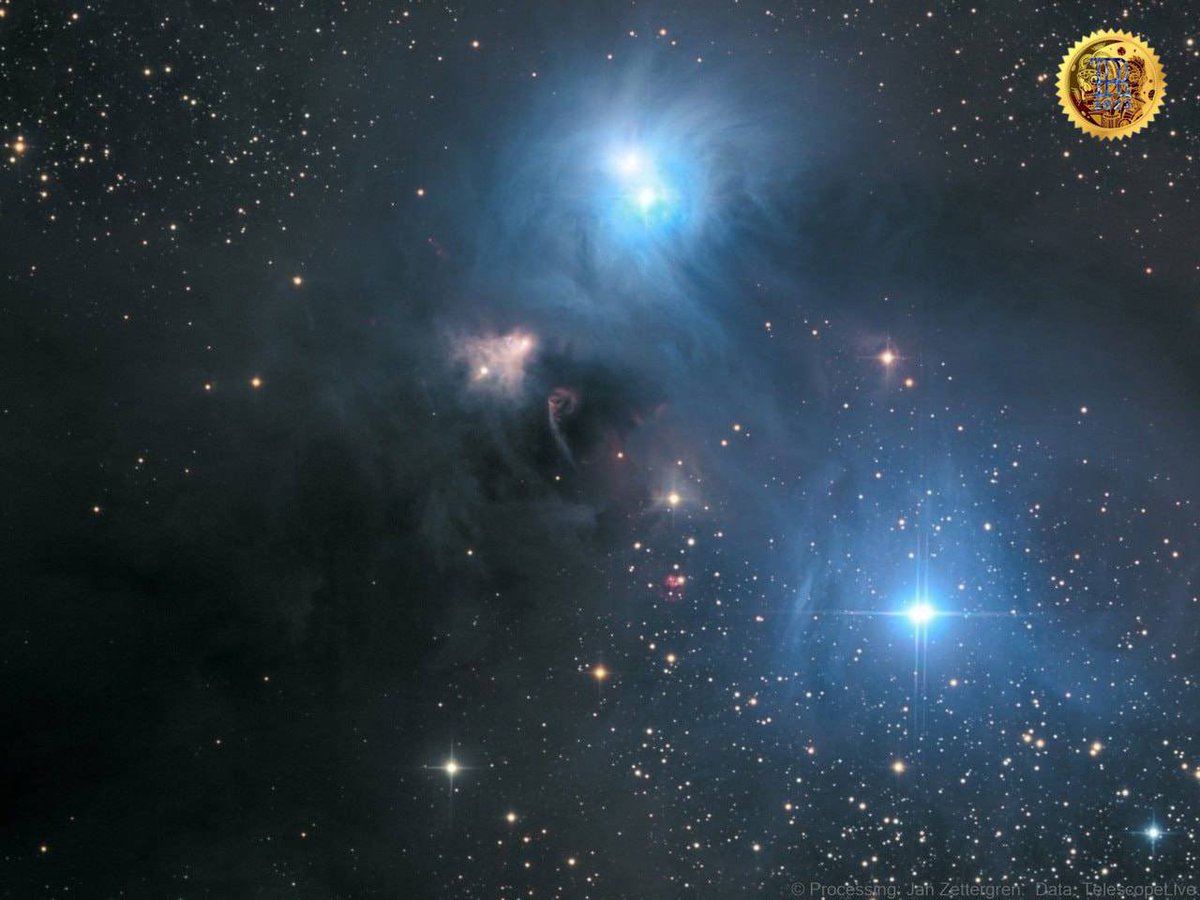 🎙RobotokenRadio©  🤖 tweet media