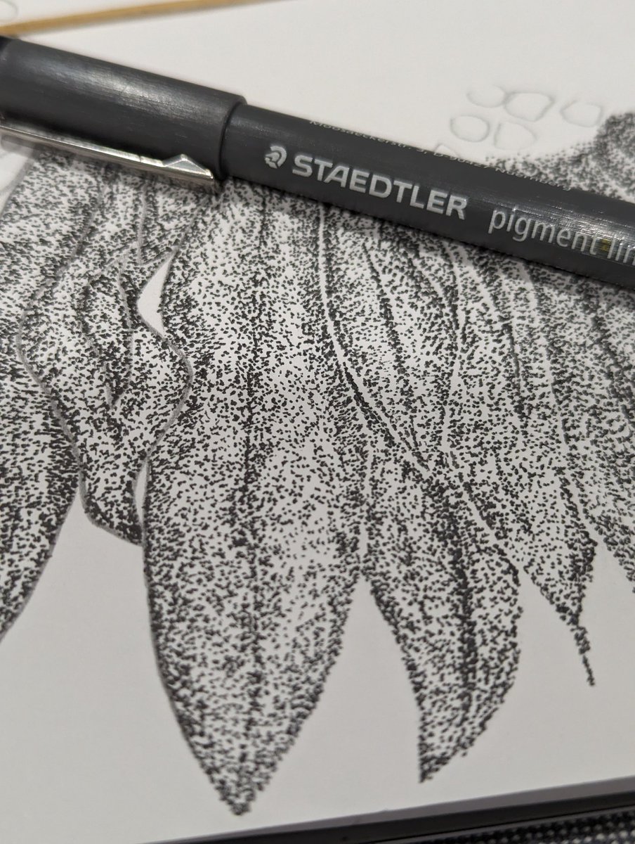 RevHappiness's tweet photo. Start of a new piece
Felt pen on A4 paper
#Stippling #StipplingArt #StipplingArtwork #art #Staedtler #StaedtlerPens #Pointillism #PointillismArt #PointullismArtwork #DotWork #DotWorkArt #Flower #FlowerArt https://t.co/Qovbvj26gk