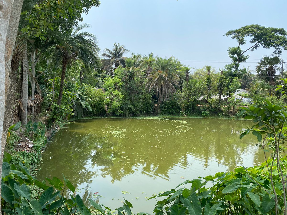 MicroSave's tweet photo. Delayed rainfall in Southwest Bangladesh have dried up ponds, crippling agriculture and worsening the region's water crisis. Vulnerable communities need urgent relief and access to clean water.
#climateresilience #financialservices #bangladesh #CGAP https://t.co/fDVwM0OXSt