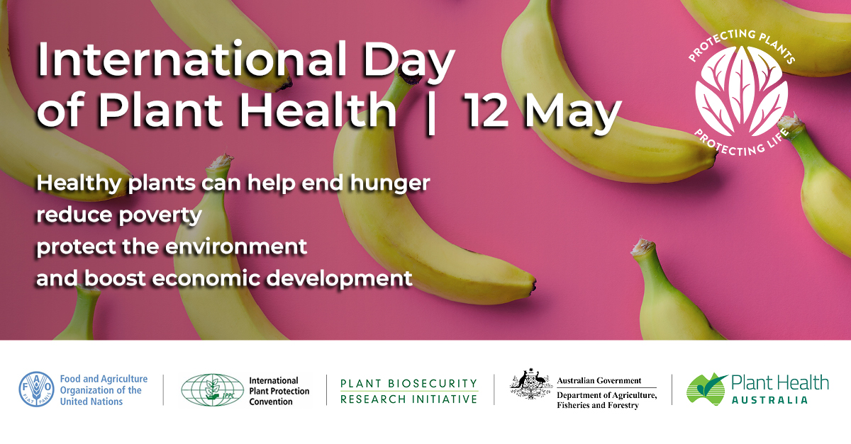 CEBRA (@cebra_uom) on Twitter photo This Friday! We'll be participating in the UN declared International Day of Plant Health to raise global awareness of the need to protect plant health bit.ly/43l5SZL <a href="/FAO/">Food and Agriculture Organization</a> #PlantHealthDay #IDPH2023 This Friday! We'll be participating in the UN declared International Day of Plant Health to raise global awareness of the need to protect plant health bit.ly/43l5SZL <a href="/FAO/">Food and Agriculture Organization</a> #PlantHealthDay #IDPH2023