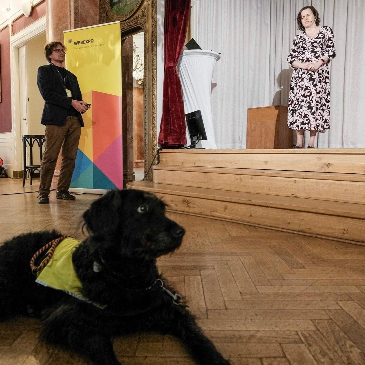 Last month was full of events! We are so glad that we can talk not only about our work, but spread the awereness of disability inclusion📷.
#MobileGames #MobileGaming #game #games #gaming #gamer #indiegame #indiegames #IndieGameDev #GamingNews #GamingCommunity #audiogame