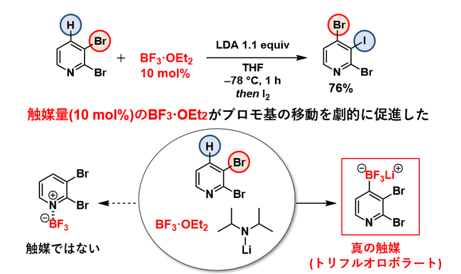 chemstation's tweet photo. ハロゲン原子の受け渡しを加速!!新規ホウ素触媒による触媒的ハロゲンダンス | Chem-Station (ケムステ) https://t.co/IPBn8thcFv https://t.co/yEqOAig7Tf
