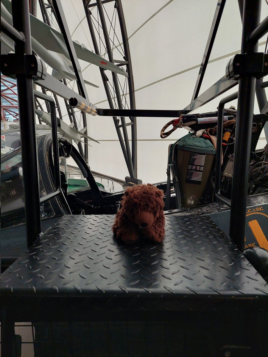 AdventuresOfBear tweet media