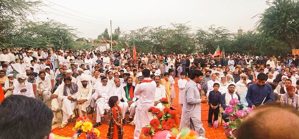 PTI Politics. tweet media